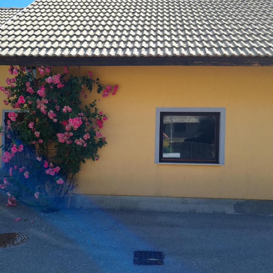 Apartma Nina Bohinj Buitenkant foto